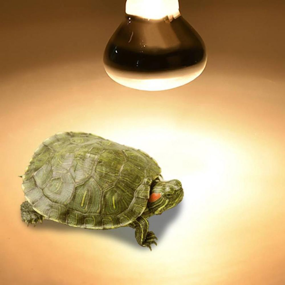 Лампа-обогреватель для рептили – обзор и цена Basking Bulb Halogen