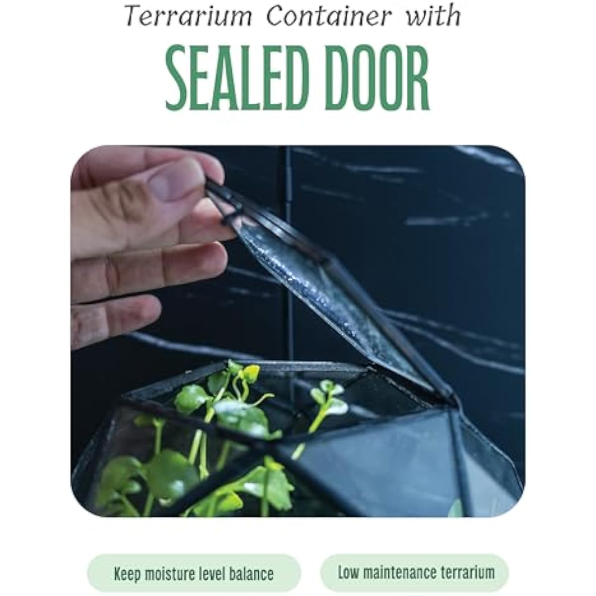 Геометрический террариум в фор – обзор и цена Glass Door Hinge