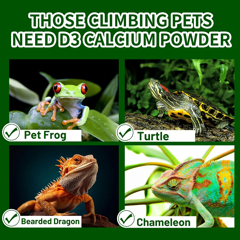 Ползающий домашнее животное, в – обзор и цена Calcium Powder Reptile