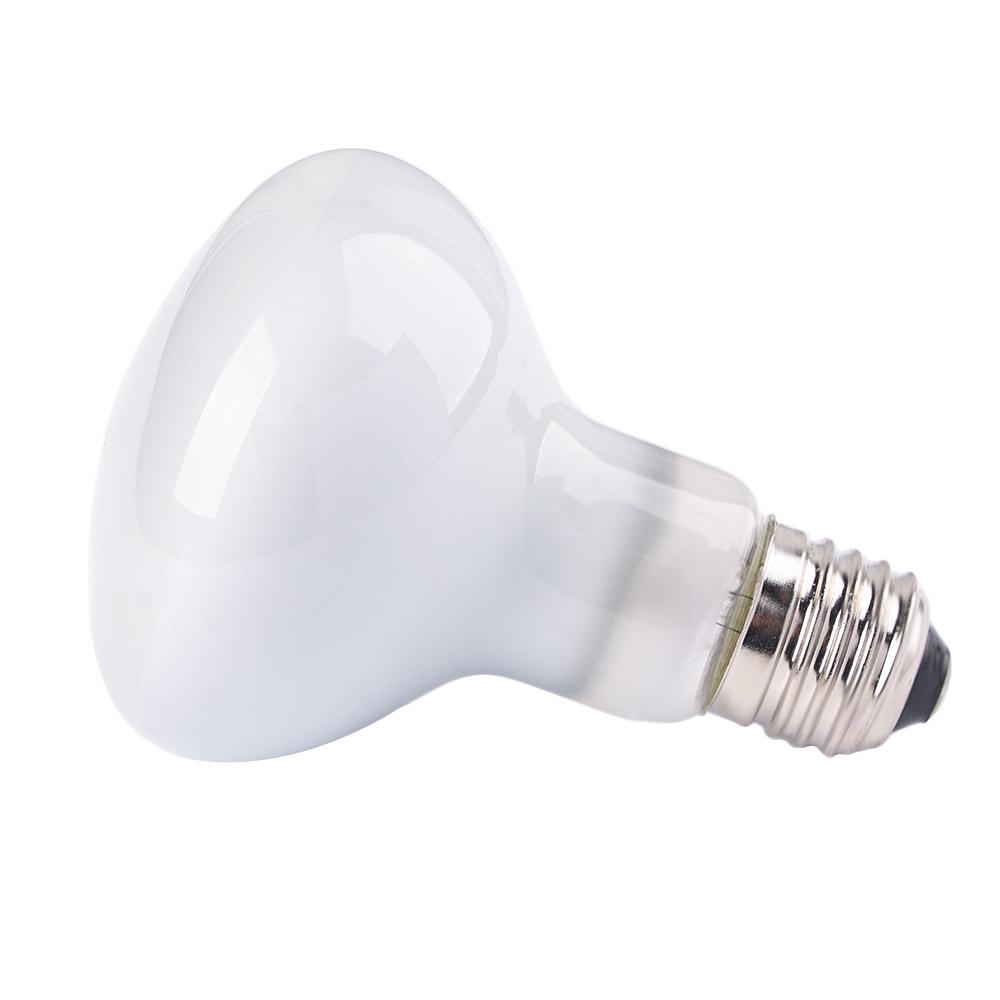 Контроллер температуры для амф – обзор и цена Basking Bulb Halogen